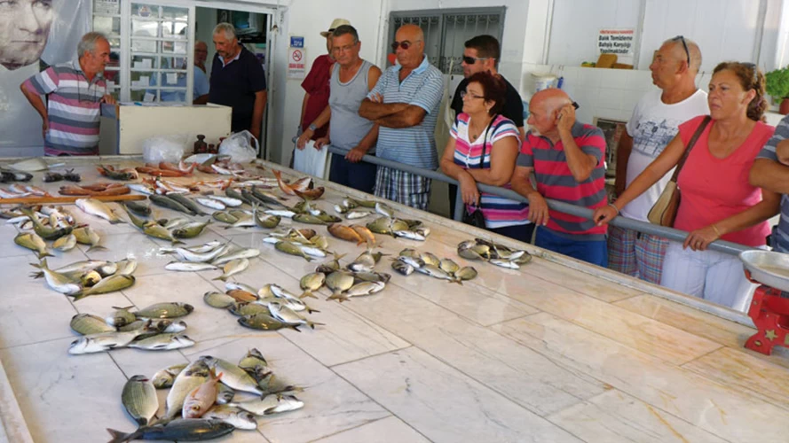 Δημοπρασία
ολόφρεσκων ψαριών 
στην ψαραγορά