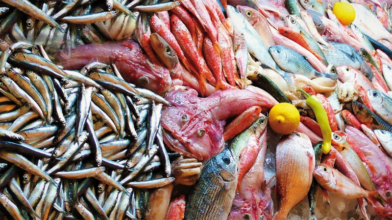 Εστιατόρια για ψάρι και θαλασσινά: οι νέες τάσεις και οι ειδικοί - εικόνα 4