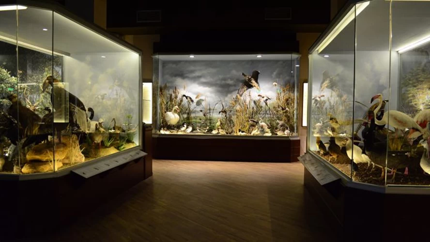 Στο εσωτερικό του Μουσείου Φυσικής Ιστορίας των Μετεώρων