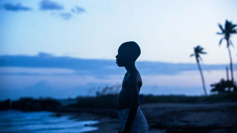 Υποψηφιότητες Χρυσών Σφαιρών 2017: «La La Land» ή «Moonlight»; - εικόνα 2