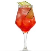 Grapefruit Spritz