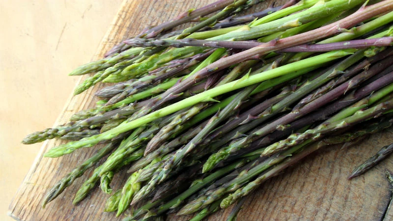 Εποχή για άγρια σπαράγγια