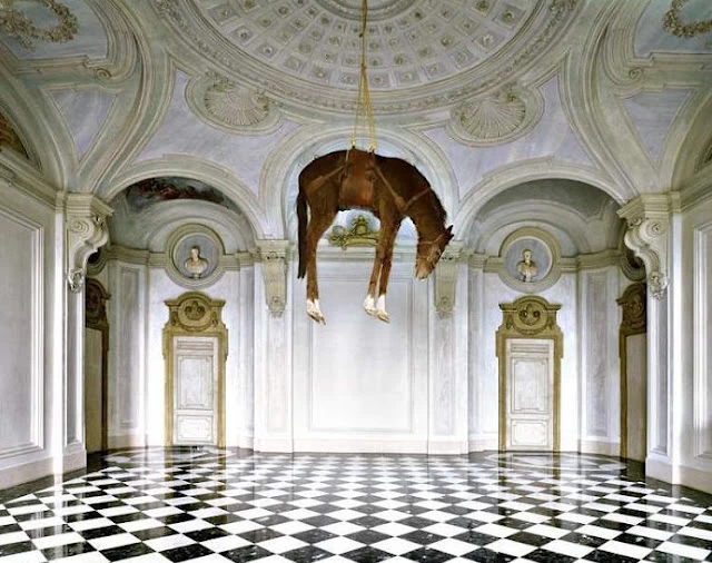 Ανταπόκριση | Castello di Rivoli: Πώς η σύγχρονη τέχνη συνομιλεί με την ιστορία της και πόσο (α)πολιτική είναι η «επιστροφή στη φύση»; - εικόνα 10