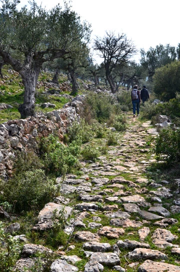 Περπατήσαμε στο Μπίλιοβο, το ομορφότερο λιθόκτιστο μονοπάτι της Πελοποννήσου - εικόνα 2