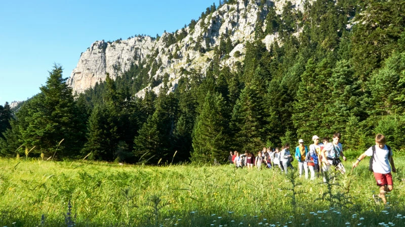 Καλοκαιρινές περιπέτειες στην καρδιά του ελατοδάσους του Παρνασσού - εικόνα 2