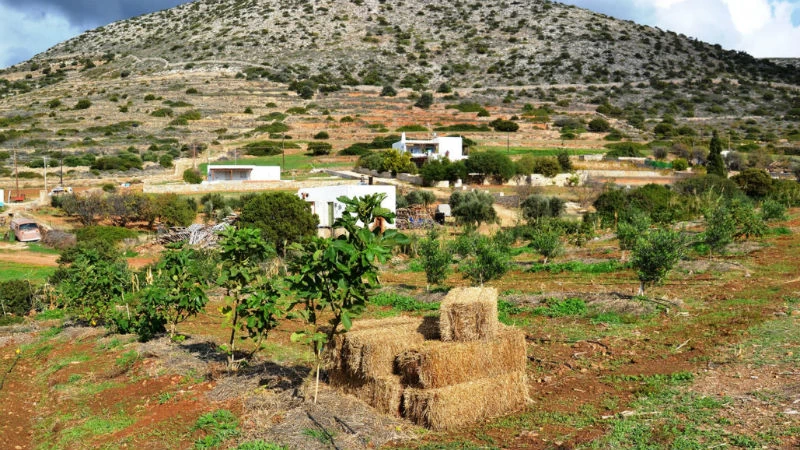 Αγρόκτημα Καμάρανθο | Η άλλη όψη της Πάρου - εικόνα 1