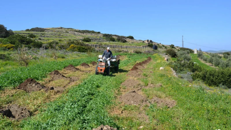 Αγρόκτημα Καμάρανθο | Η άλλη όψη της Πάρου - εικόνα 4