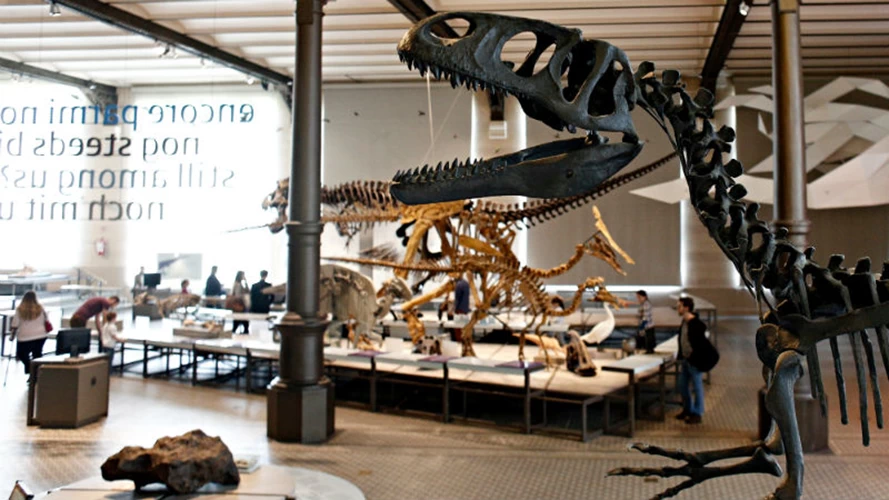 Ραντεβού με τους δεινόσαυρους στο Μουσείο Φυσικών Επιστημών