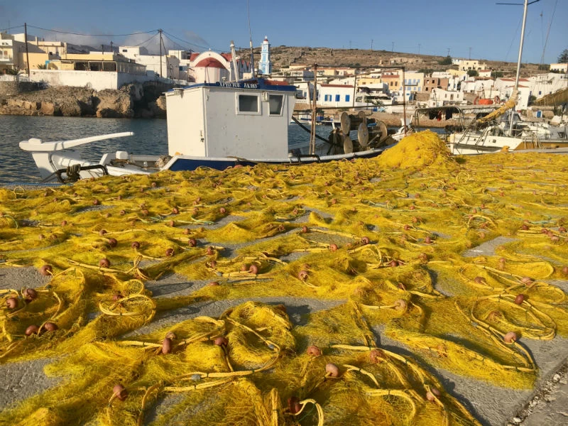 Δίχτυα στο Φρυ