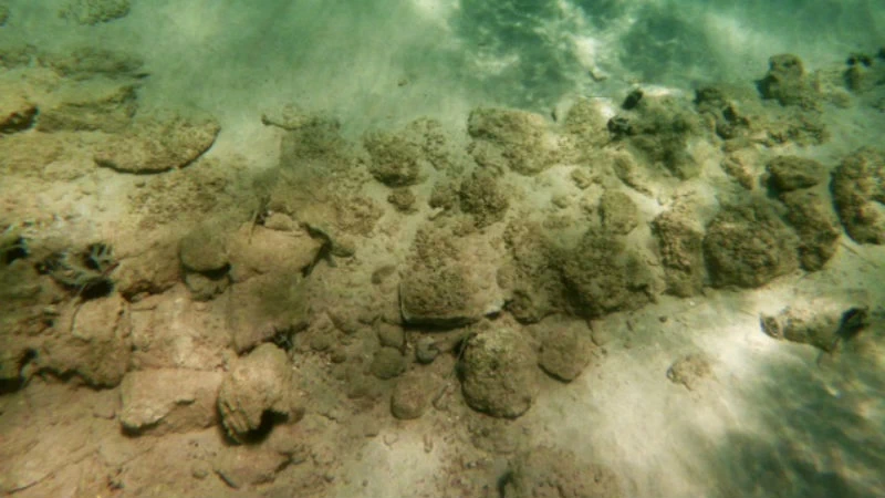 Το Pavlopetri Eco-Marine Film Festival μας προσκαλεί να ανακαλύψουμε τον αρχαιότερο βυθισμένο οικισμό στον κόσμο - εικόνα 3