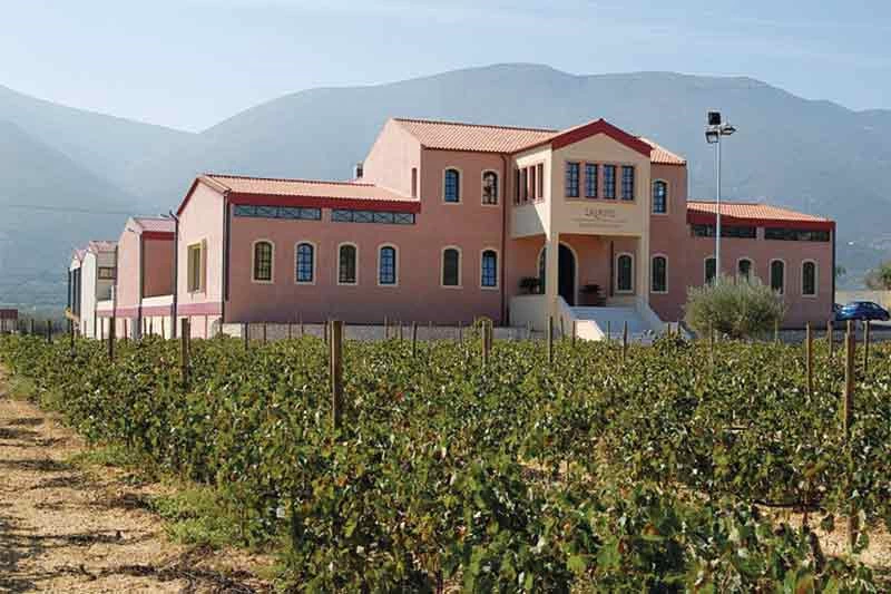 Βελούδινο και μοσχομυριστό Peplo - εικόνα 1