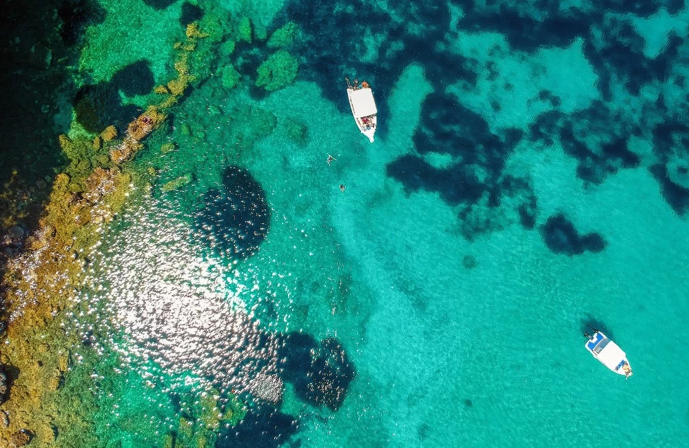 Βουτιά στην Ήπειρο: Κατάφυτες ακτές, δελφίνια και παραλίες για εξερεύνηση - εικόνα 7