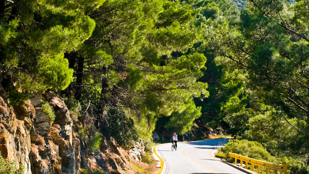 Πολιτιστική αποκέντρωση: Γυρνάμε την Αθήνα από φεστιβάλ σε φεστιβάλ - εικόνα 16