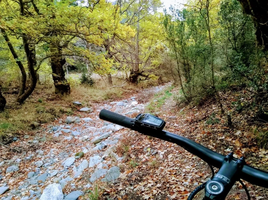 Με μια επίσκεψη στη Βαμβακού Λακωνίας θα «καρυδώσετε» - εικόνα 1