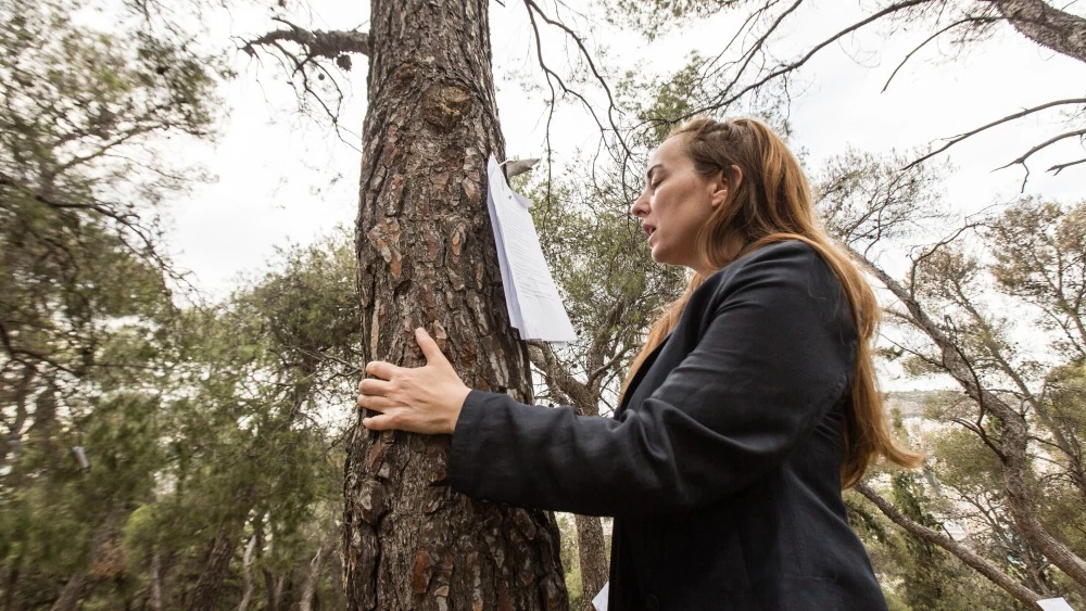 Τι θέατρο θα δούμε φέτος το καλοκαίρι; - εικόνα 9