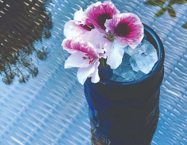 Tiki Athens: All-day εξόρμηση στο εξωτικό Κουκάκι - εικόνα 4