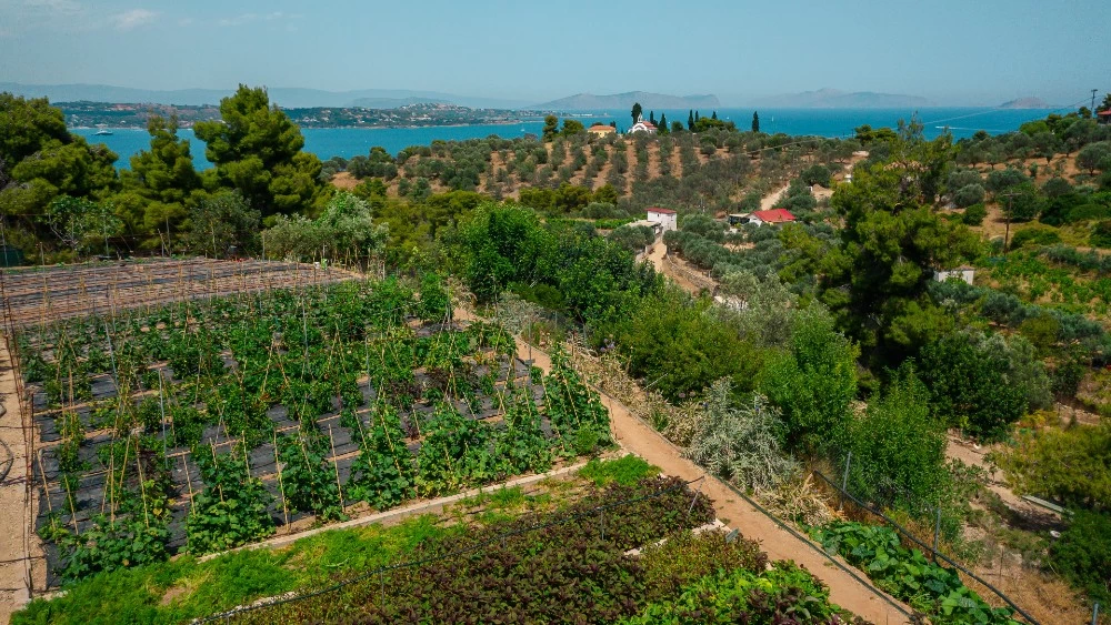 Το καλοκαίρι ξαναγράφεται στο Poseidonion Grand Hotel - εικόνα 4