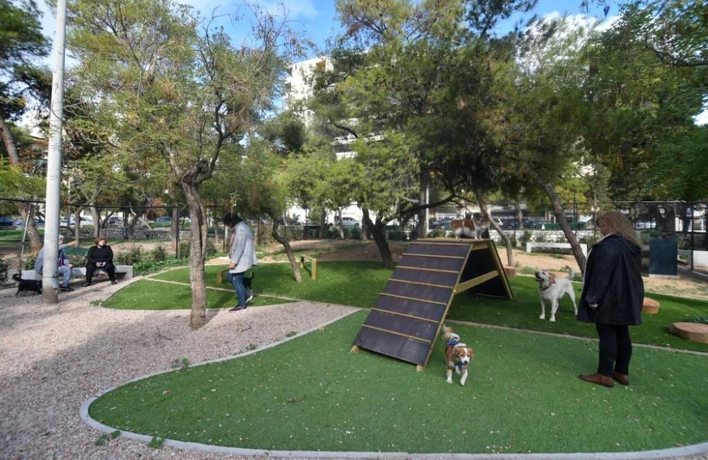 Δύο ειδικά σχεδιασμένα πάρκα για σκύλους άνοιξαν στη συνοικία Προμπονά και στον Νέο Κόσμο - εικόνα 2