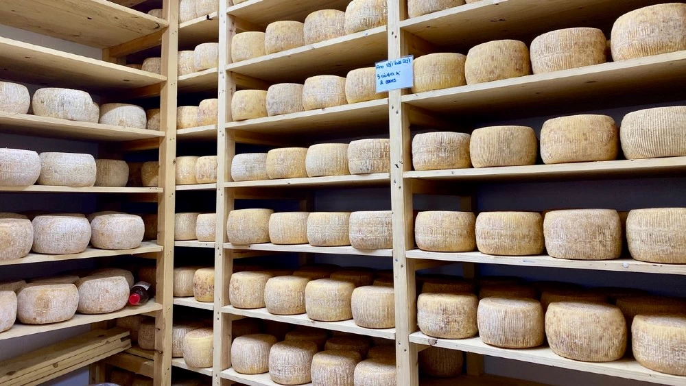 Tα εμβληματικά Π.Ο.Π. τυριά των Κυκλάδων και τέσσερα τυροκομεία με παράδοση