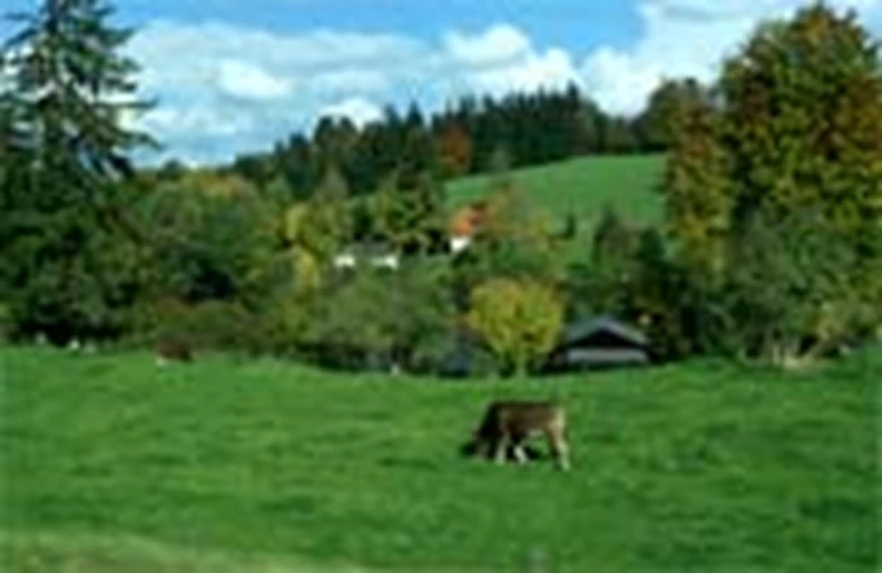 Οι δρόμοι του τυριού στη Βαυαρία - εικόνα 1