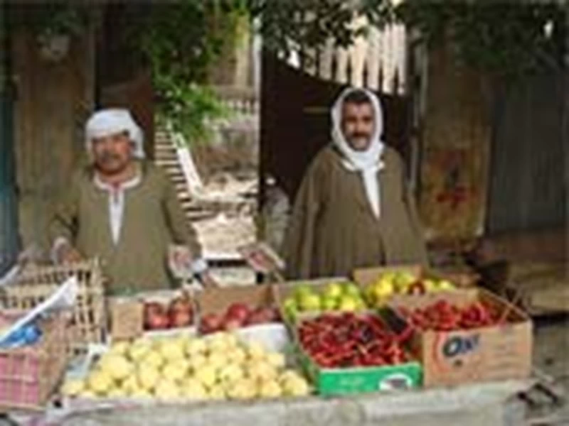 αλεξανδρινός πυρετός - εικόνα 3