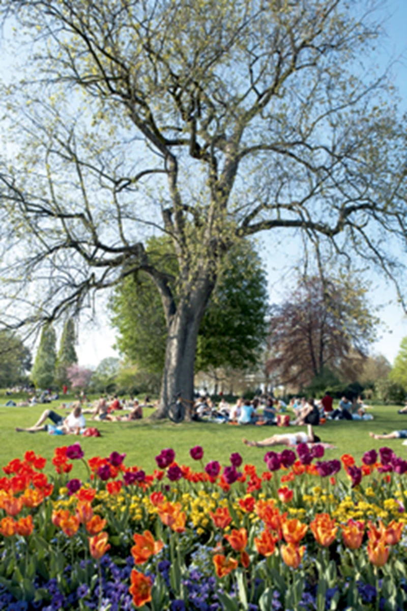 'Green' London - εικόνα 2