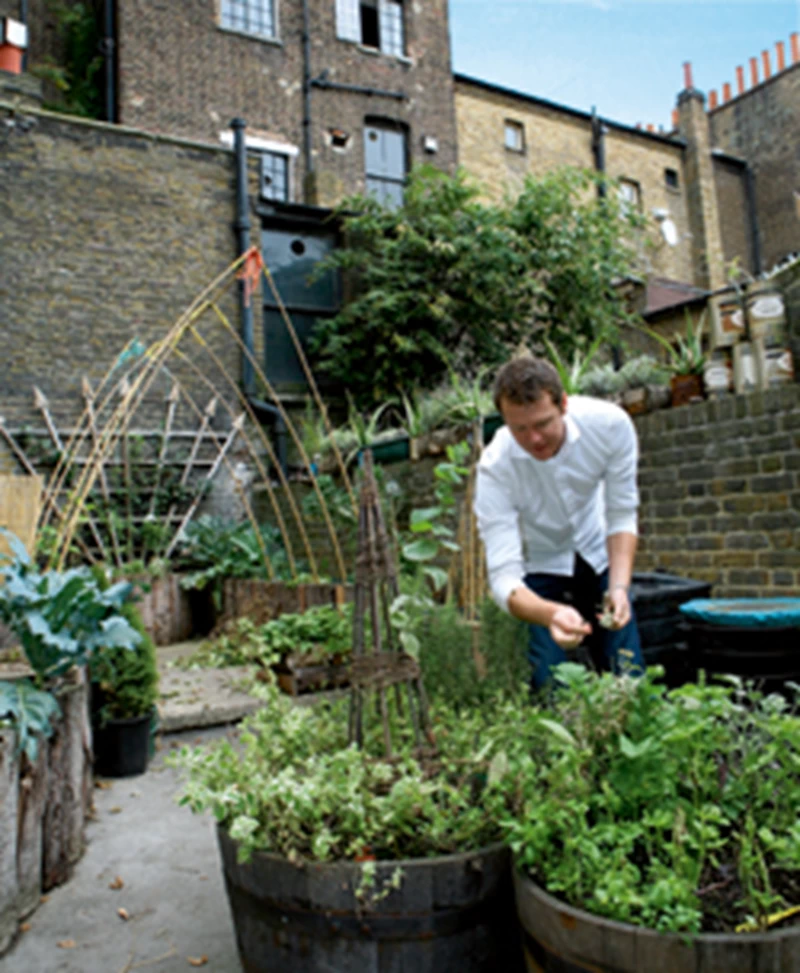 'Green' London - εικόνα 6