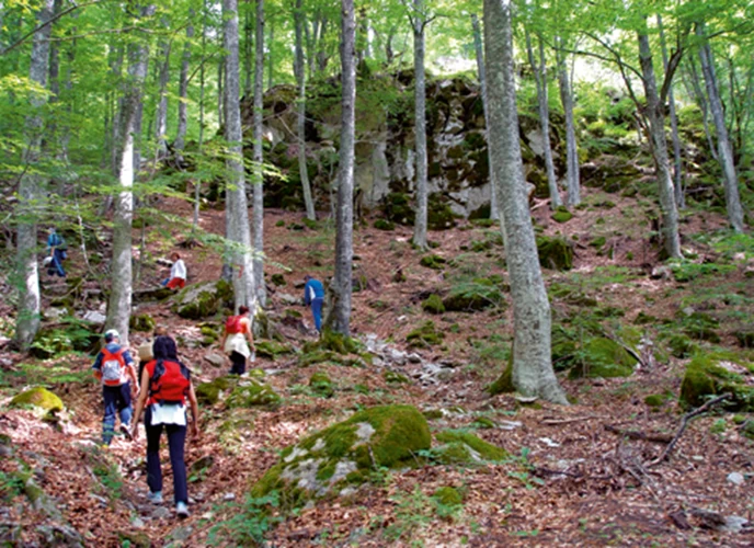 Για χαλαρό περπάτημα προσφέρεται ο Βοτανικός Βαλκανικός Κήπος Κρουσσίων μέσα σε φυσικό δρυόδασος