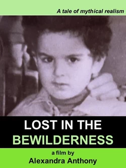 Lost in the Bewilderness