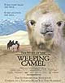 Η Ιστορία της Καμήλας που Δάκρυσε