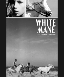 Το Άσπρο Άλογο