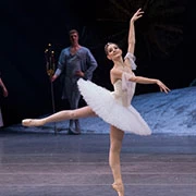Bolshoi Mariinsky Ballet Stars - Denis Rodkin &amp; friends
